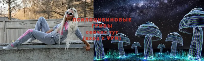 Псилоцибиновые грибы Magic Shrooms  где можно купить наркотик  omg   Новочебоксарск 